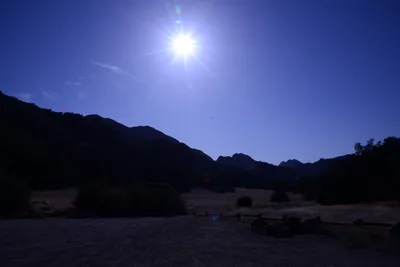 DSC_2078 (Large).JPG